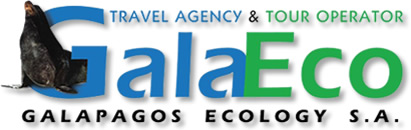 Galaeco Galapagos Ecuador - Galapagos cruises and hopping tours, last minute deals, Ecuador air tickets, daily tours, rainforest trips, Galapagos travel information.