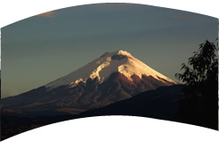 Cotopaxi - Galaeco Galapagos Ecuador - Galapagos cruises and hopping tours, last minute deals, Ecuador air tickets, daily tours, rainforest trips, Galapagos travel information.